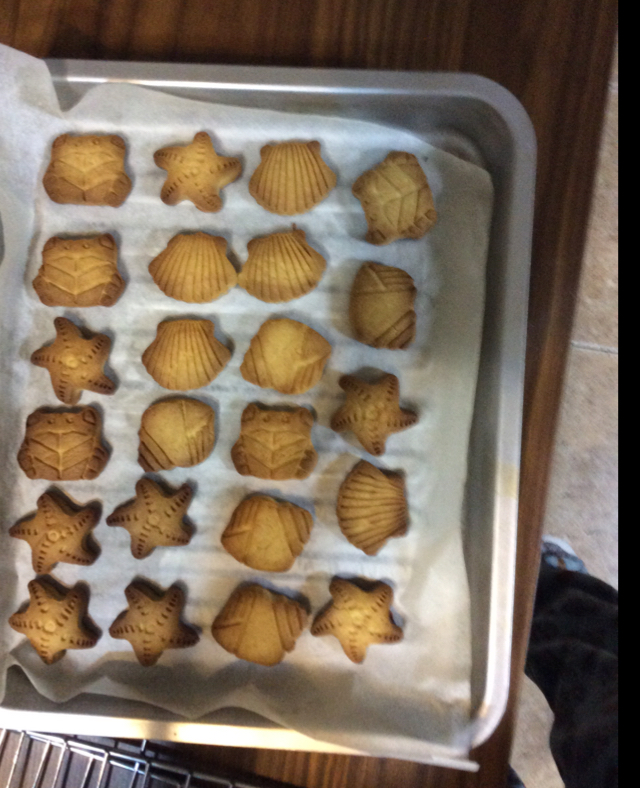 牛奶饼干