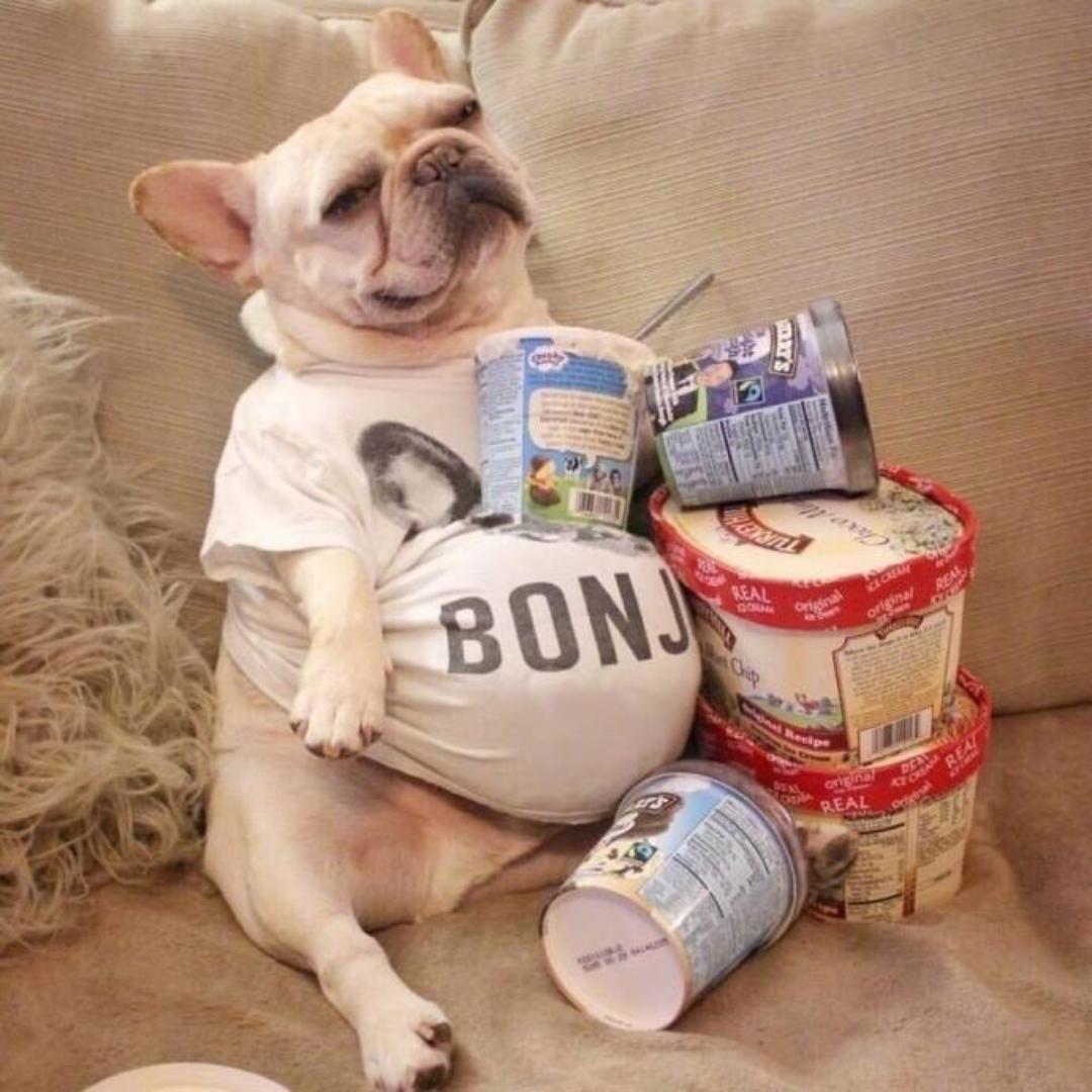 手机用户2199_j29p