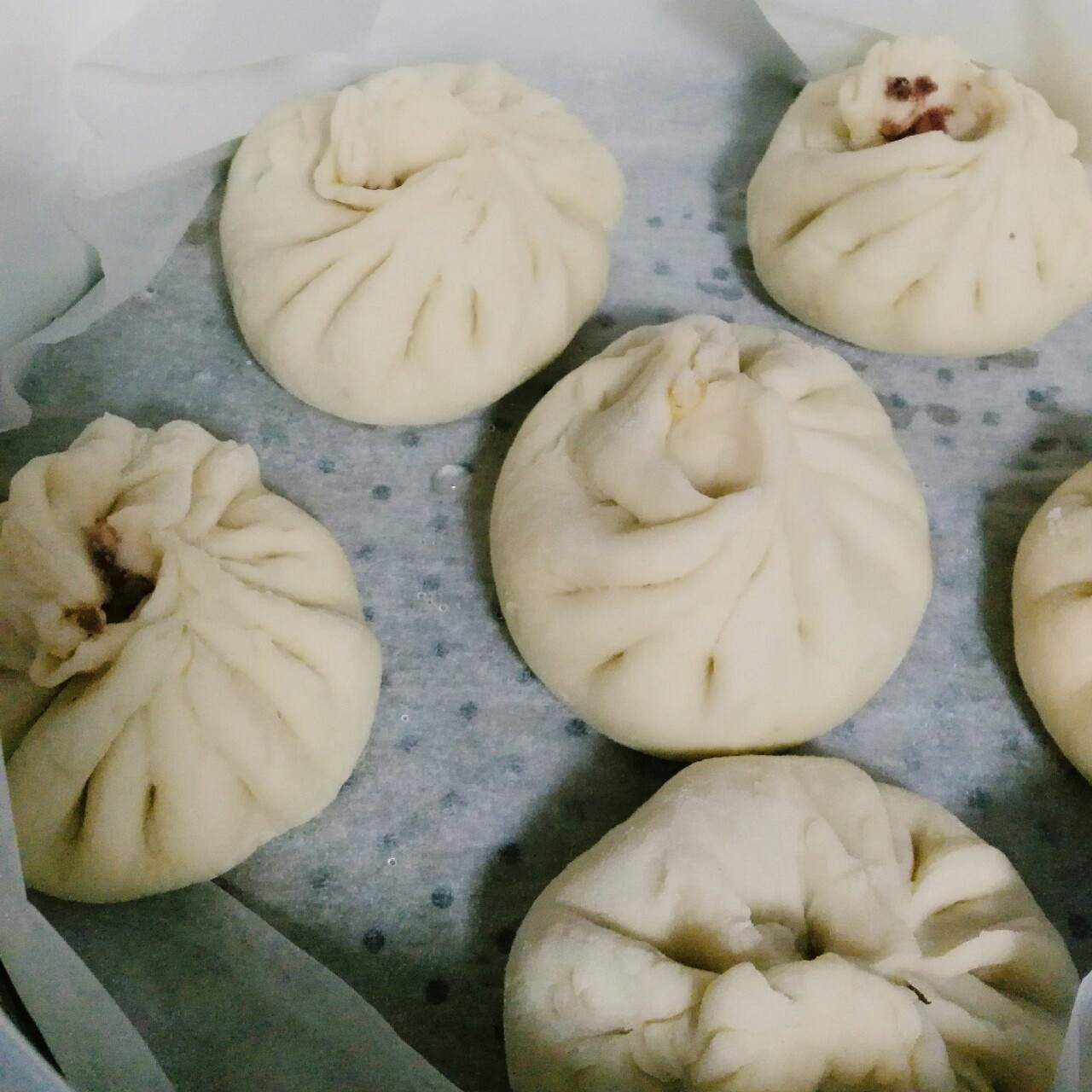 家庭手工肉馅大包子