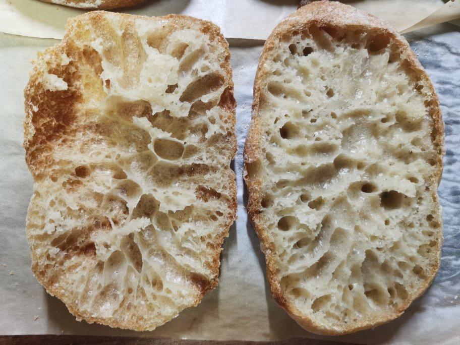 高水量恰巴塔【鲁邦种】