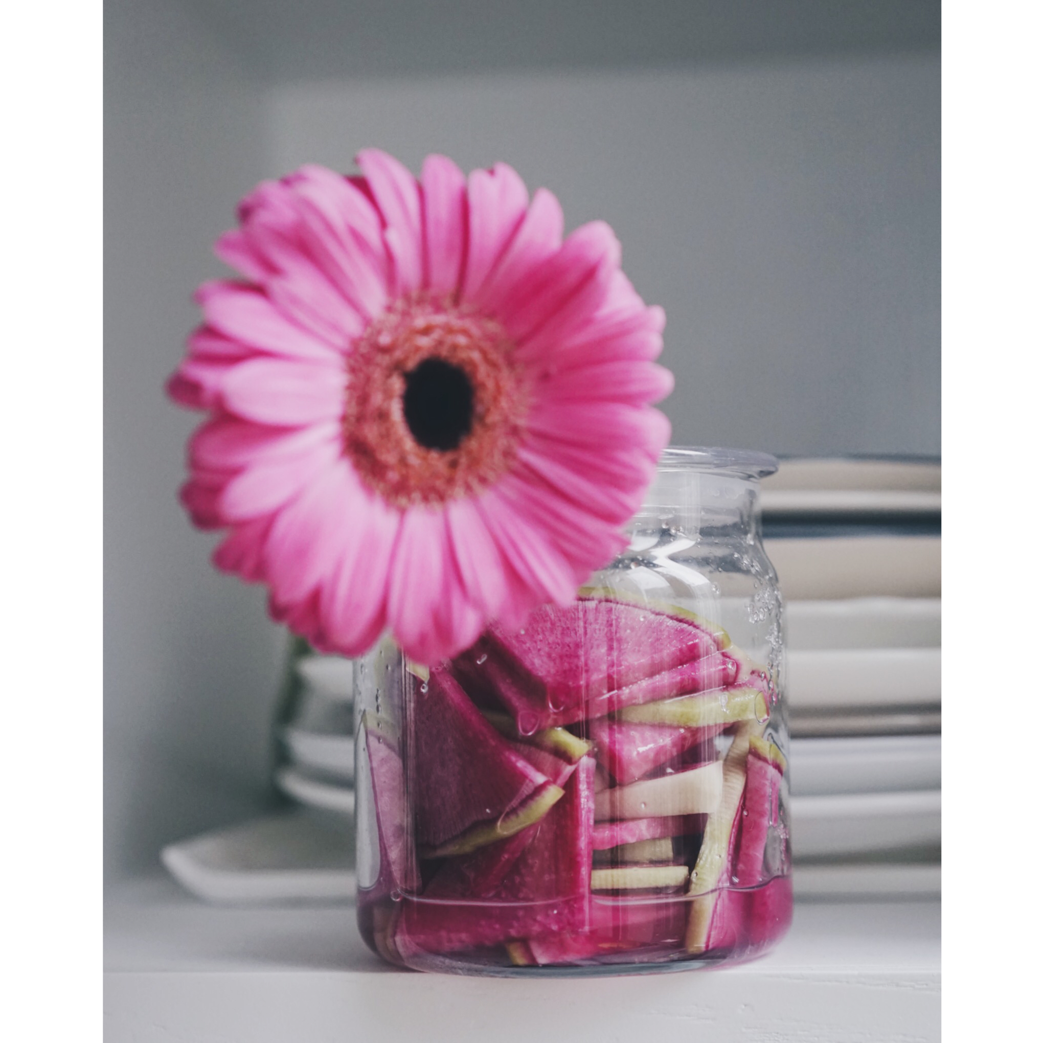 相机吃的菜哦(◍•ᴗ•◍)