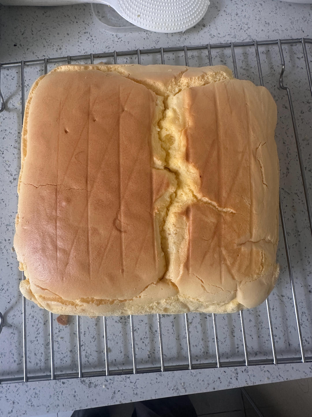 250克金枕蛋糕来喽