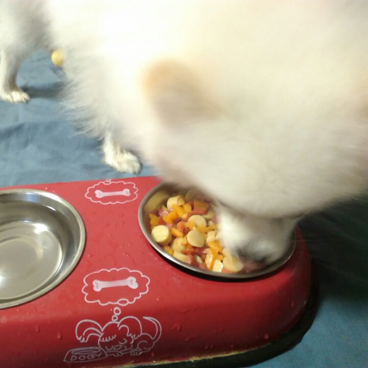 自制狗狗晚餐（一）