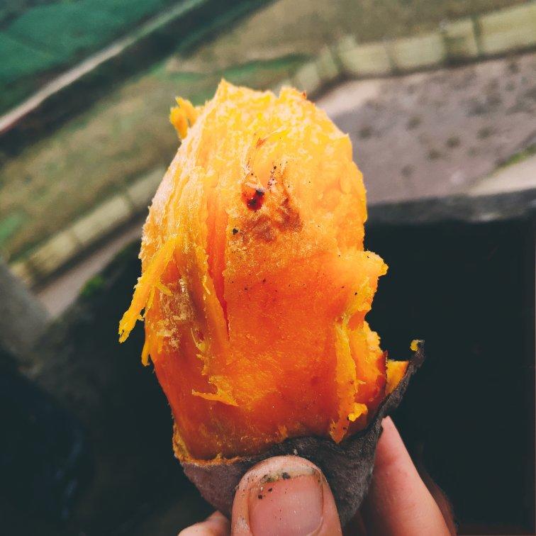 不用烤箱的烤番薯电饭煲烤番薯