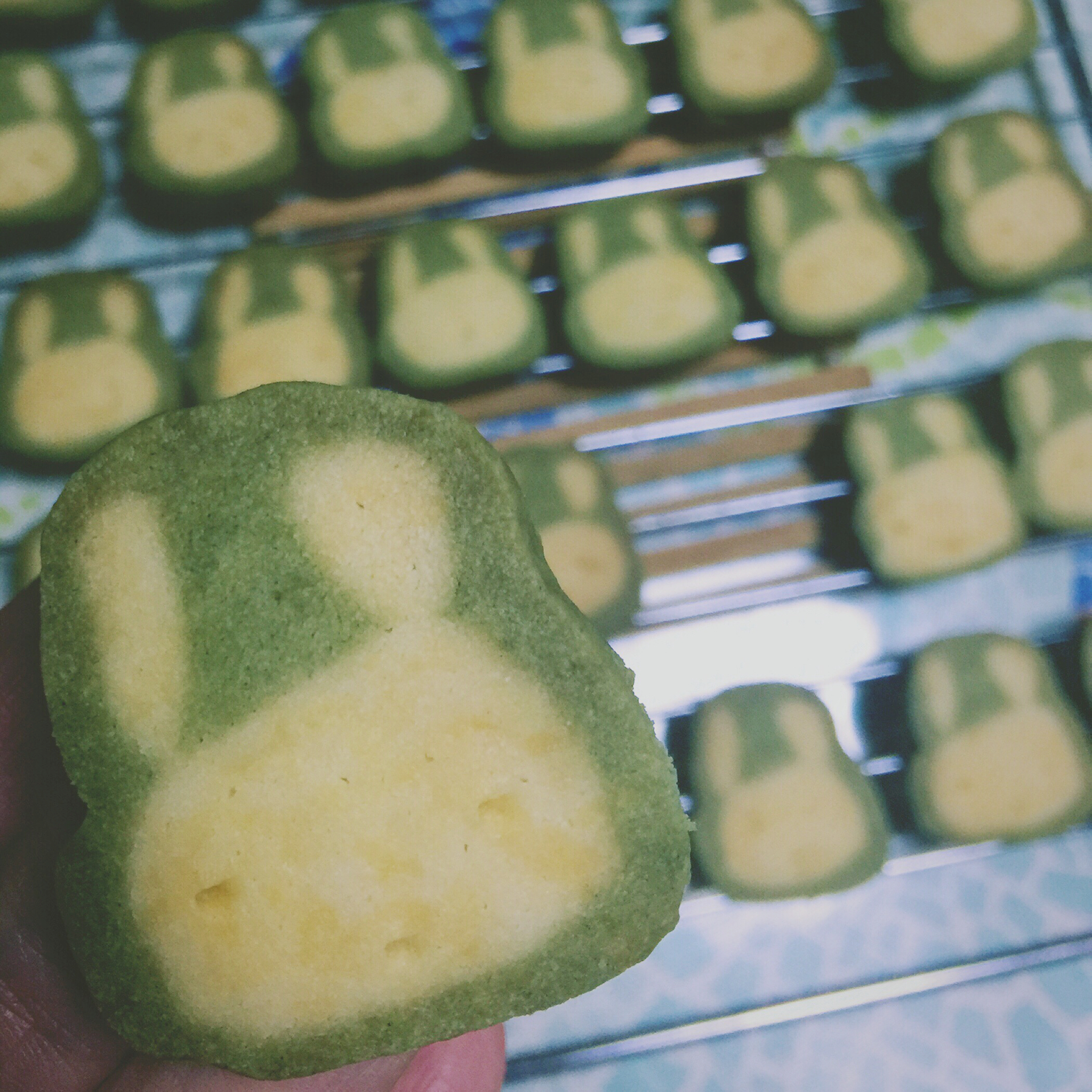 抹茶兔兔曲奇（比熊猫简单！超详细实物图+超良心手绘图）