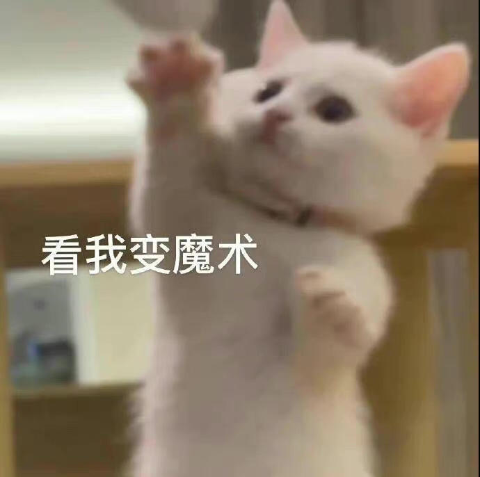 ice咕噜咕噜肉