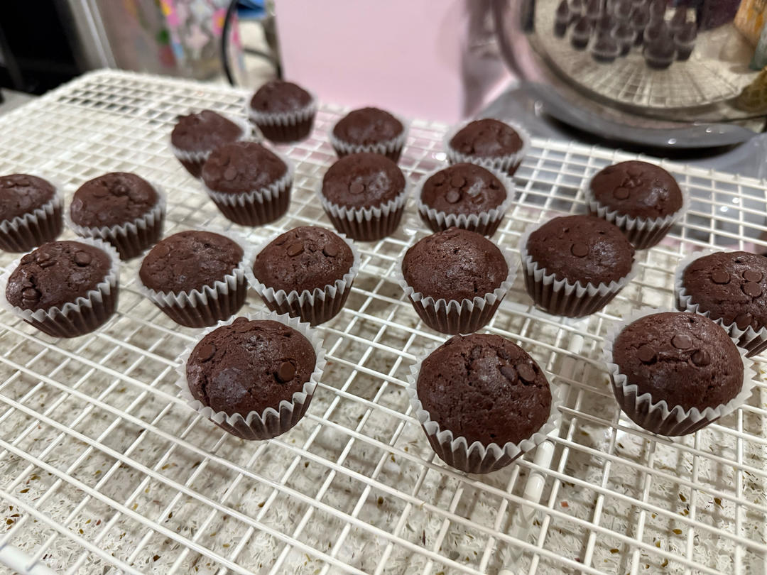 巧克力玛芬小蛋糕 可以常温邮寄的小蛋糕！