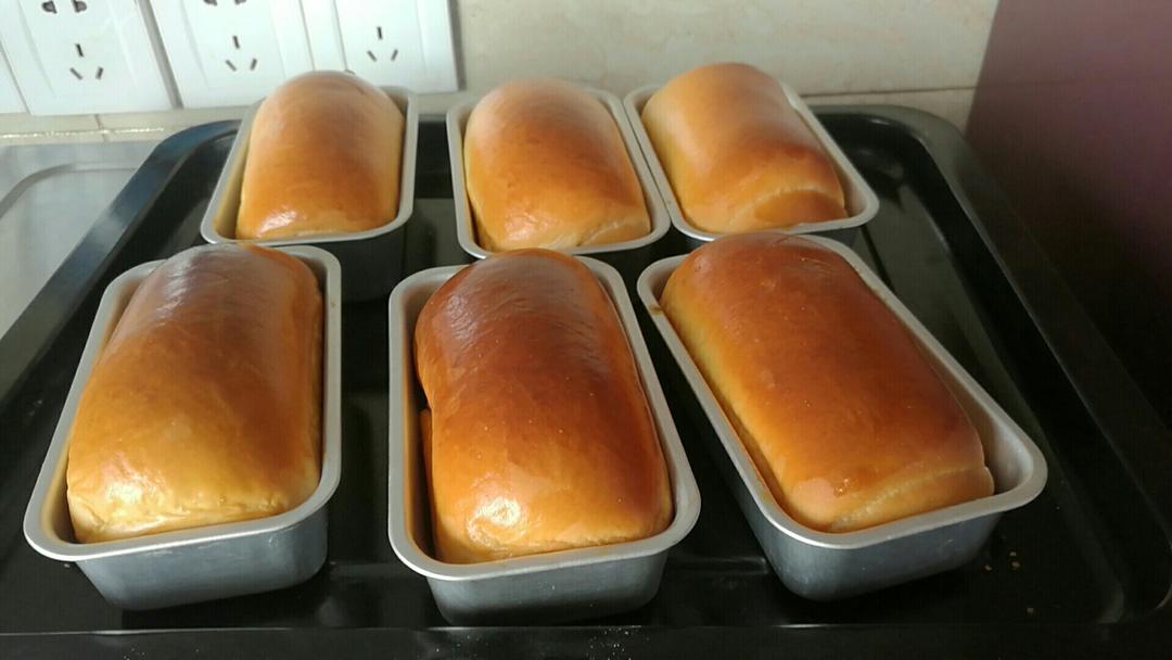 蜂蜜方包（一次发酵法）