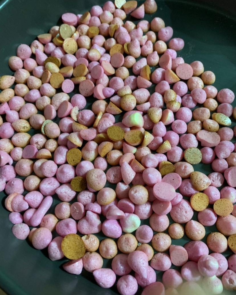 全蛋溶豆 入口即化