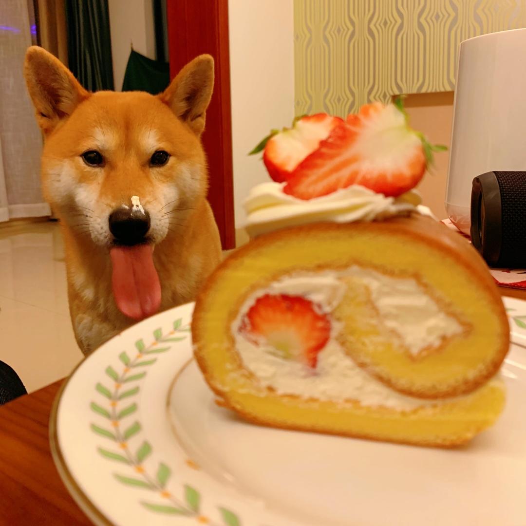 原味蛋糕卷(后蛋法)