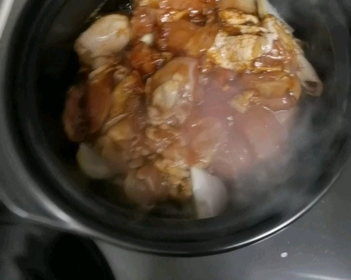 北方人也轻松做的广式鸡肉煲的做法 步骤5
