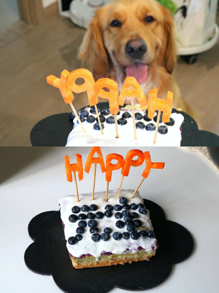 狗狗的生日蛋糕的做法