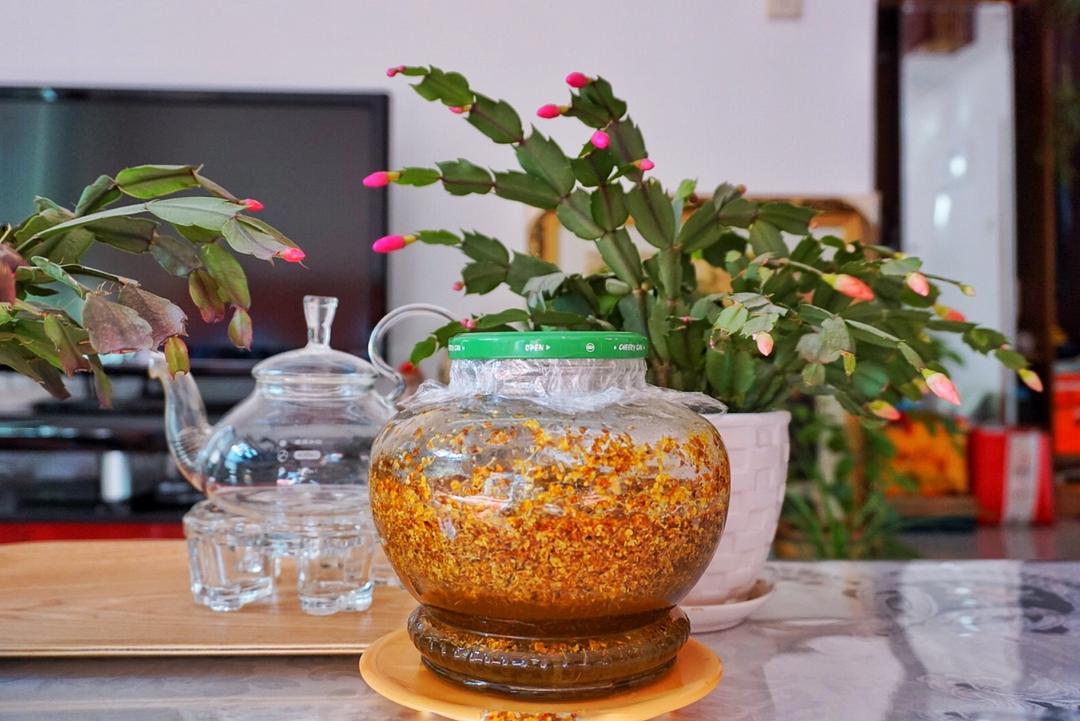 冰糖桂花