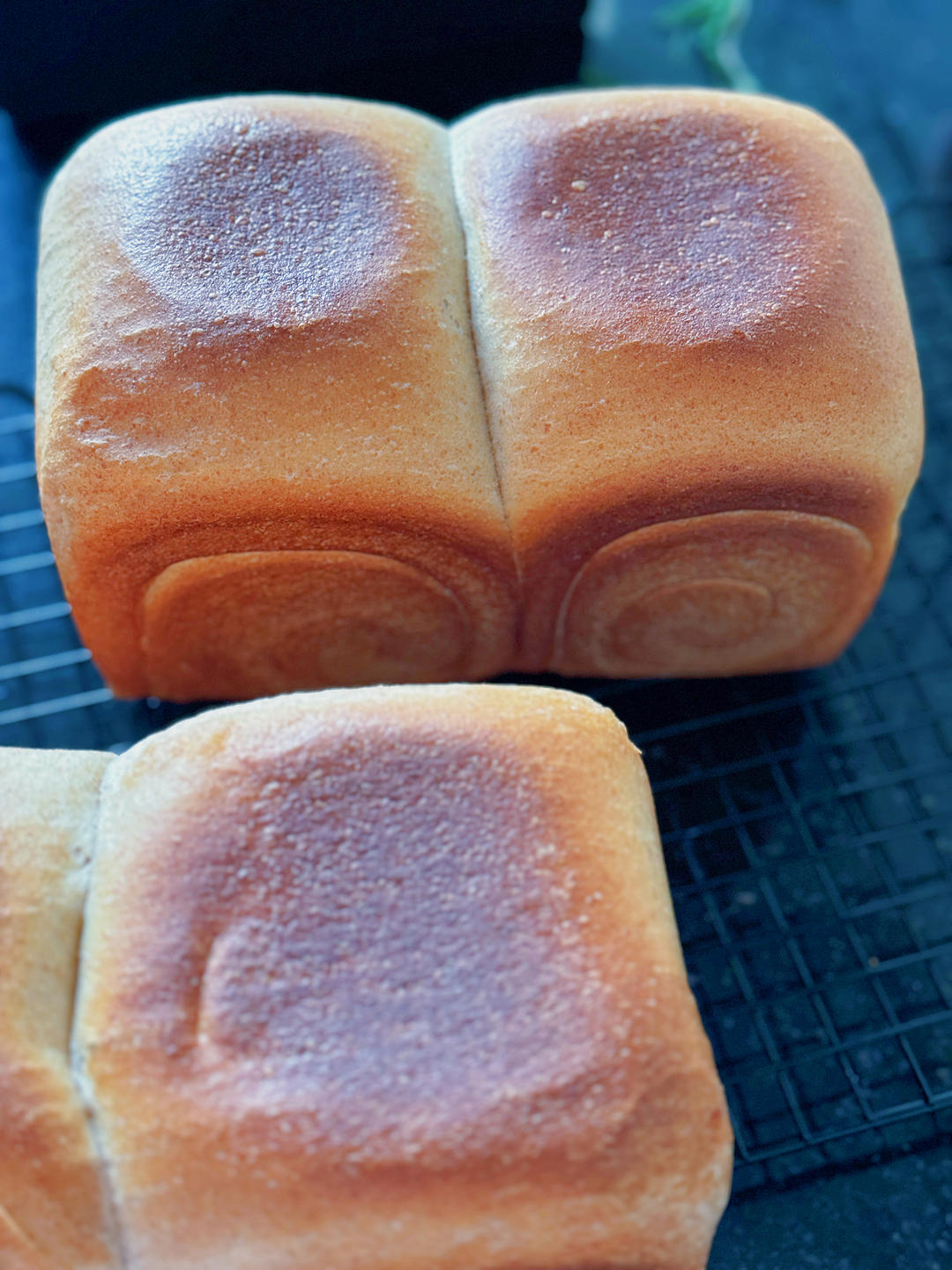 双种蜂蜜全麦三明治吐司