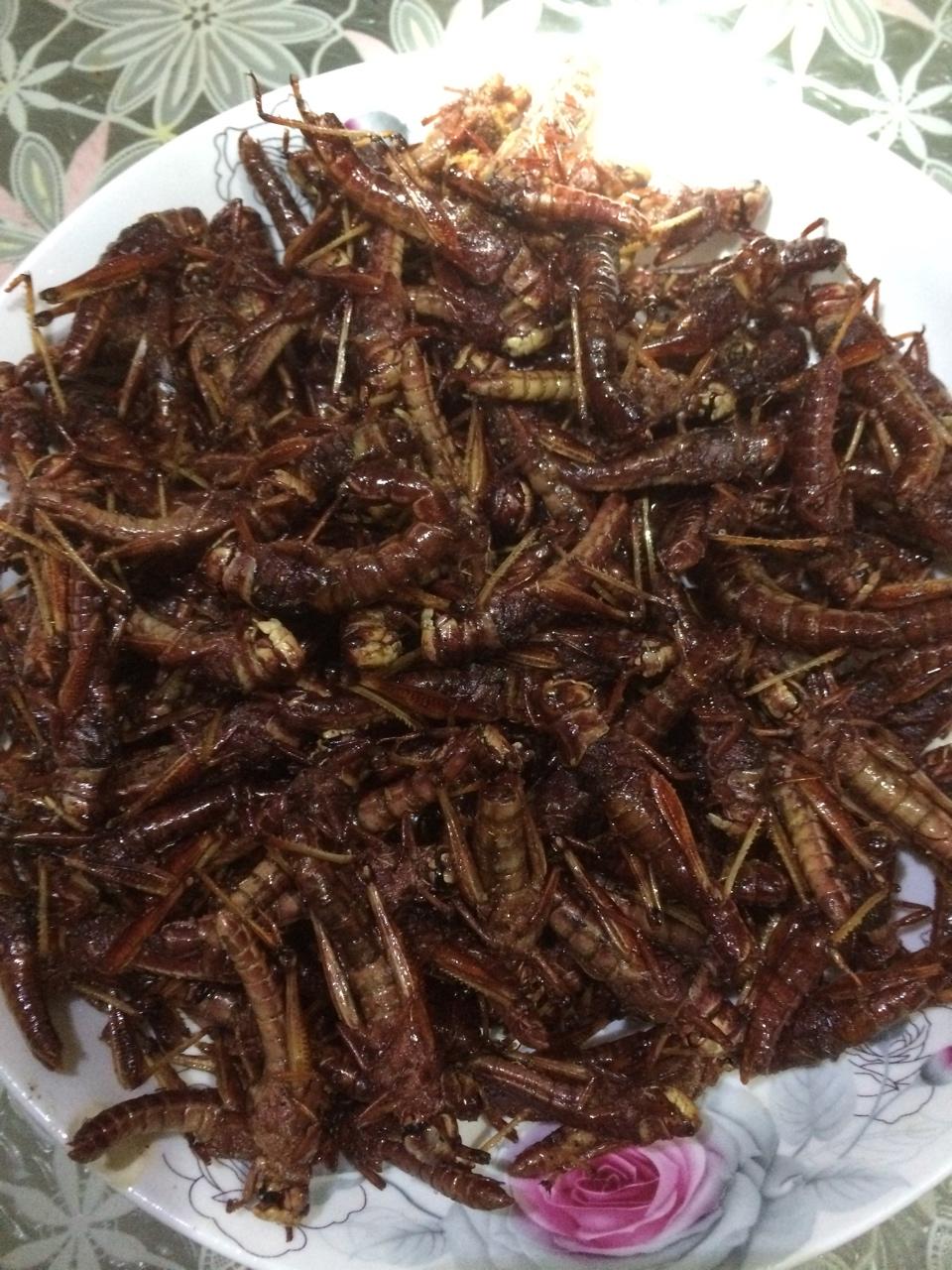 2018-08-21 19:22:19赞炸蚂蚱蚂蚱,油,盐