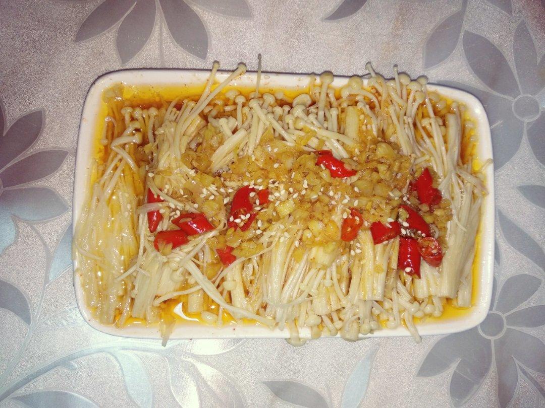 乖乖的杂食喂养
