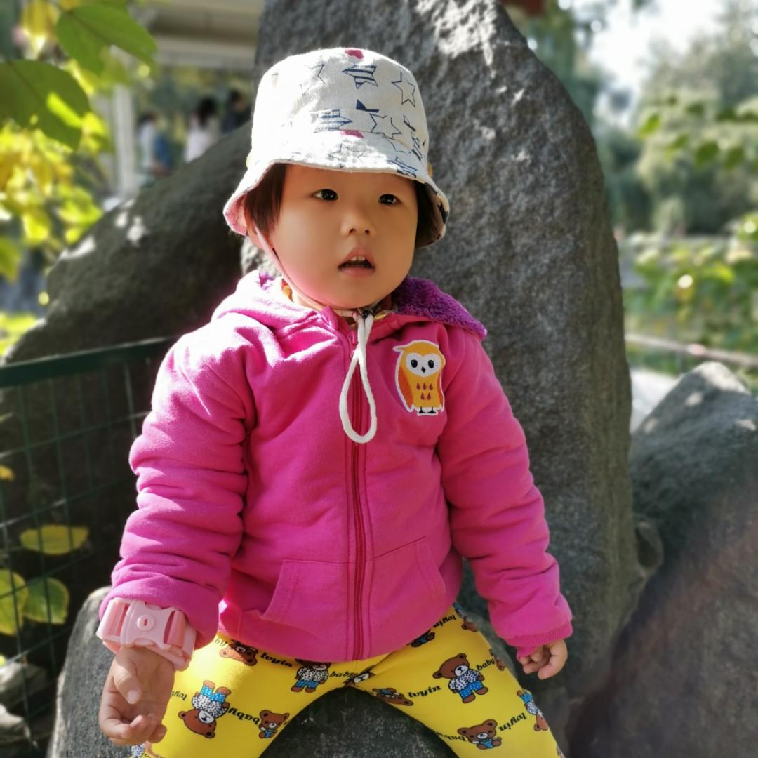 terrysong