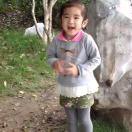 柠檬鱼2010