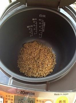 活性糙米饭的做法 步骤2