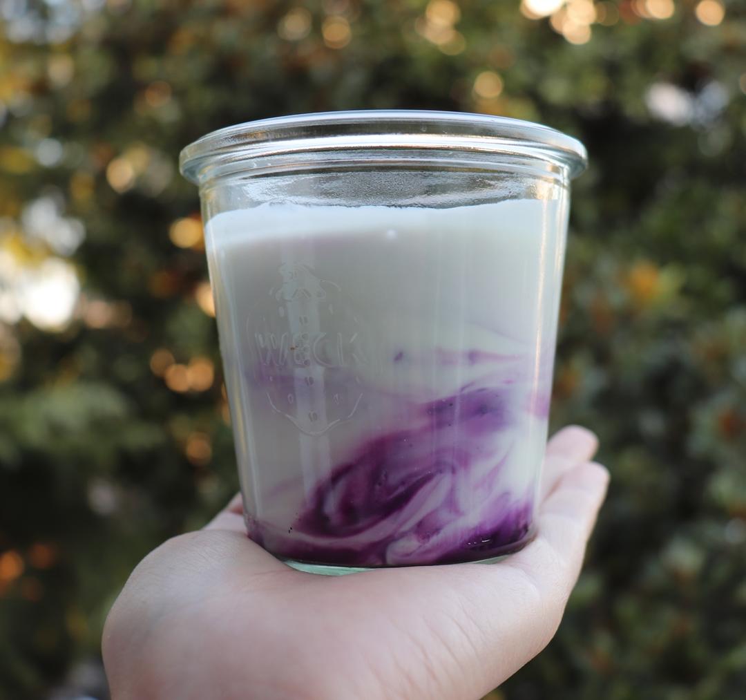 蔓越莓奇亚籽酸奶