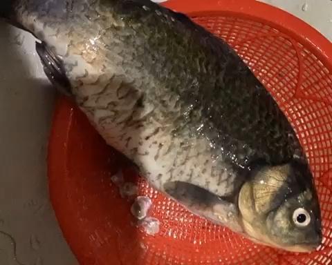 鲜美的鲫鱼豆腐汤