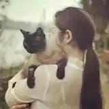 小婆婆q