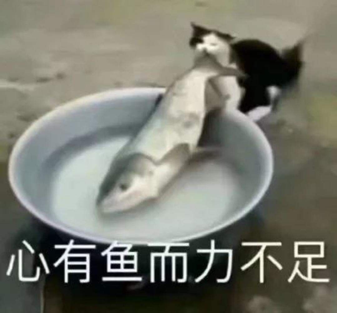 淮清