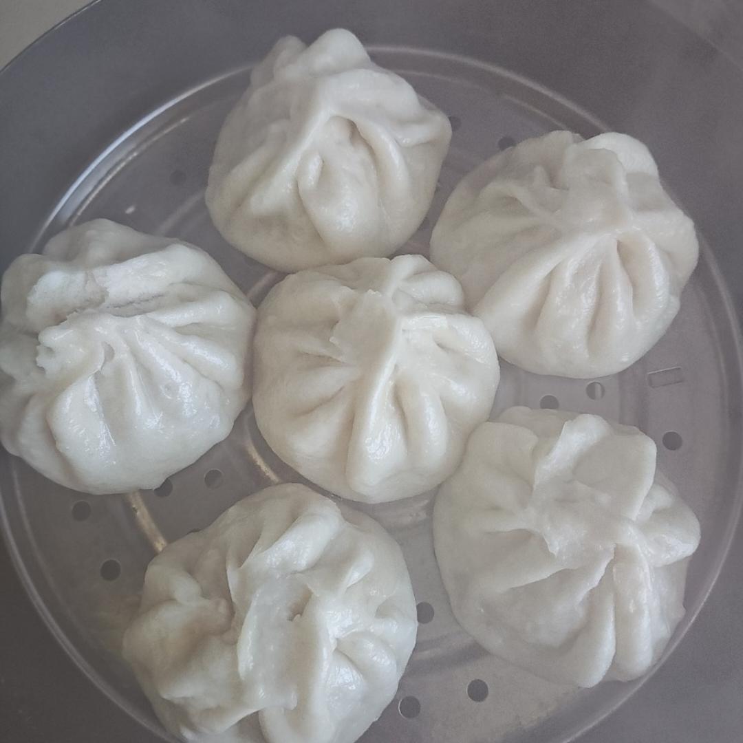 一次发酵肉包子