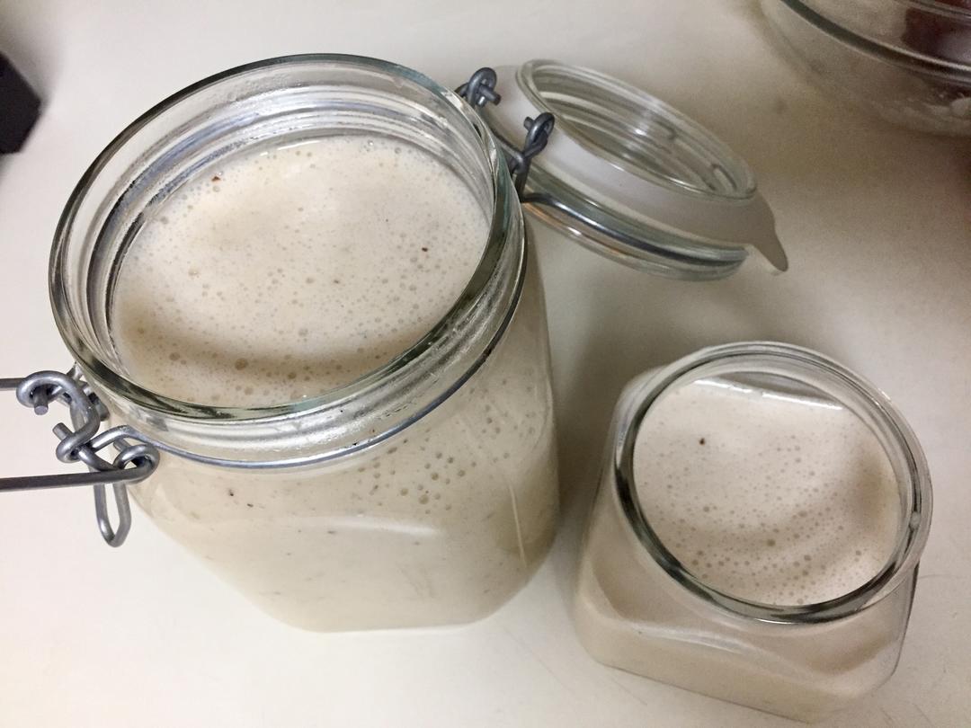 鱼胶炖银耳胶原蛋白膏