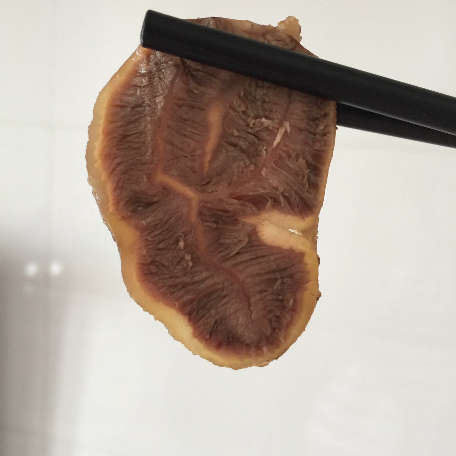 开一锅传家老卤（开卤、养护及传家大法）