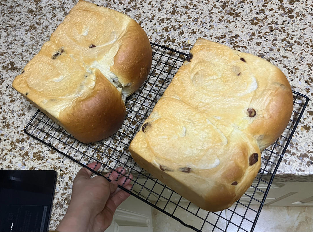 我爱的面包🍞🥯🥨🥪