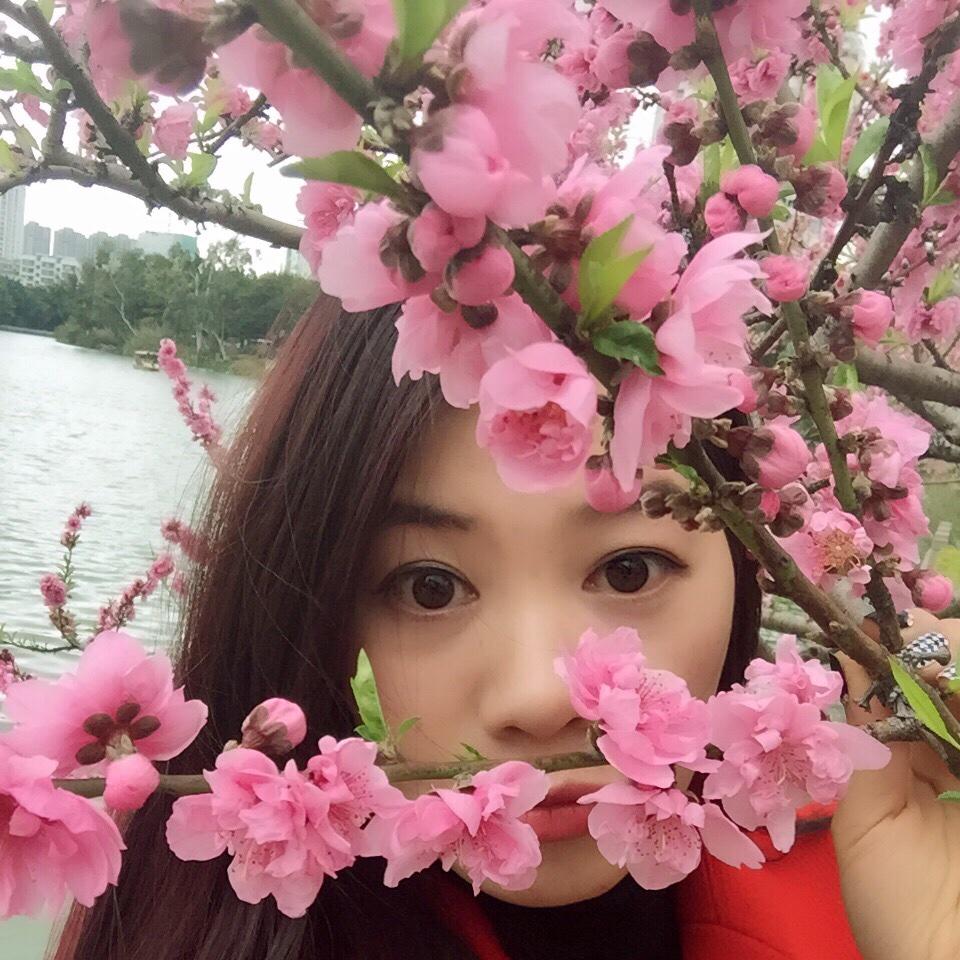 飘的海噜噜