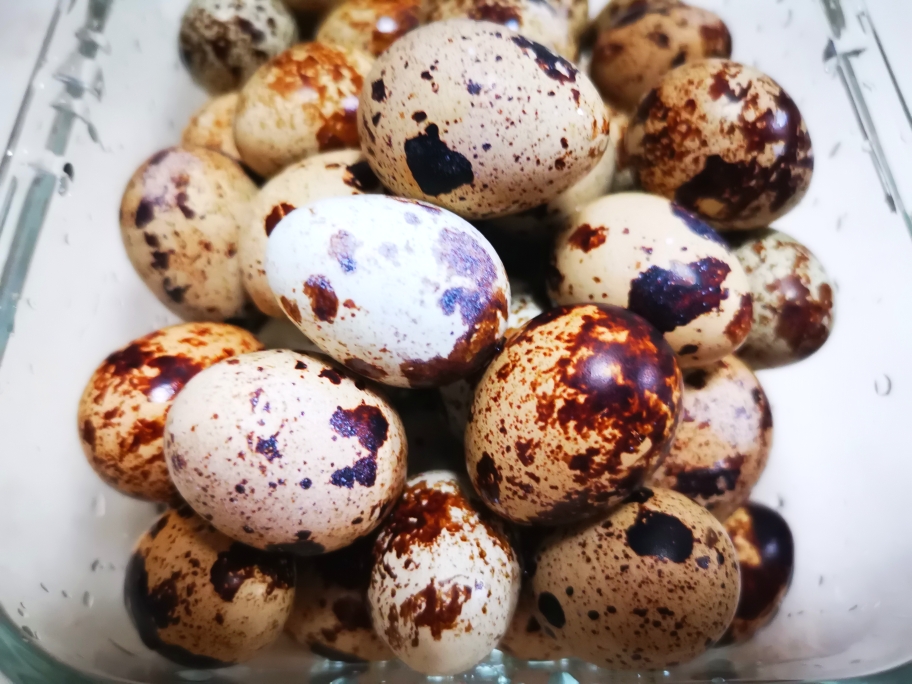 肉香鹌鹑蛋～桂皮的做法