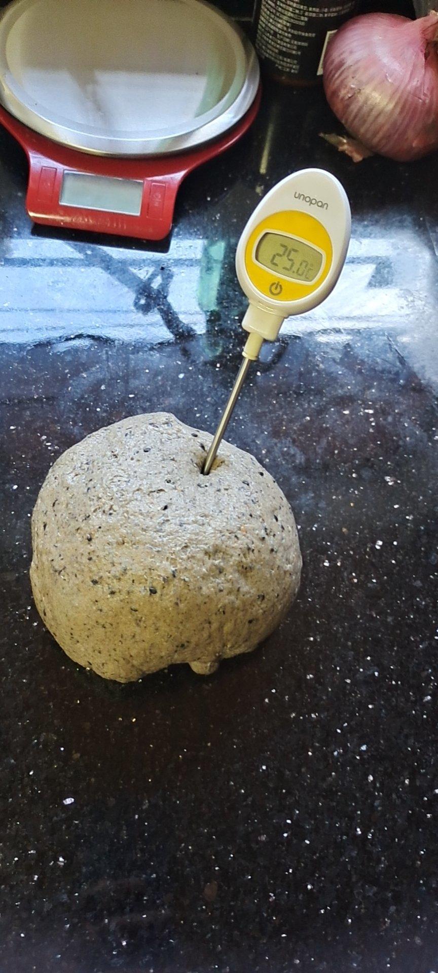 黑芝麻全麦吐司 100%全麦