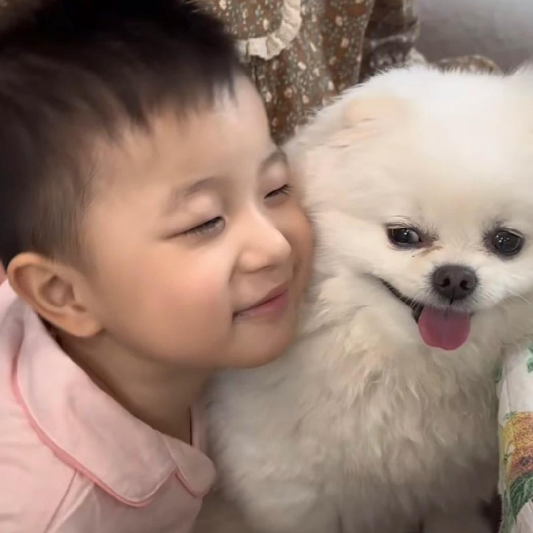 鲨鱼莎