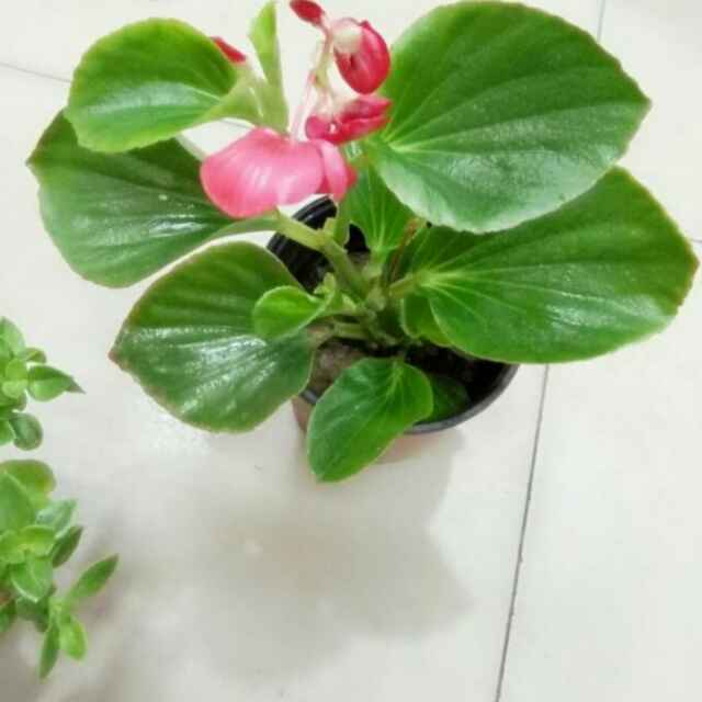美好幸福生活1