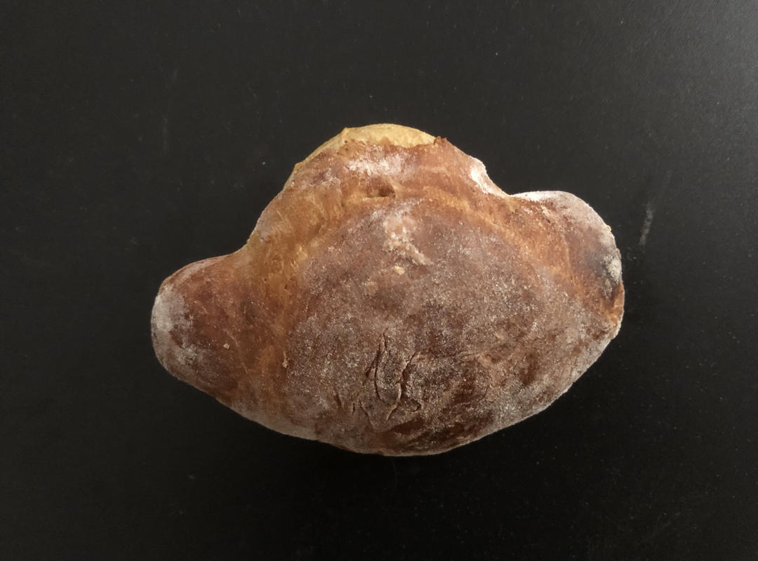 低筋面粉做的红枣软欧面包