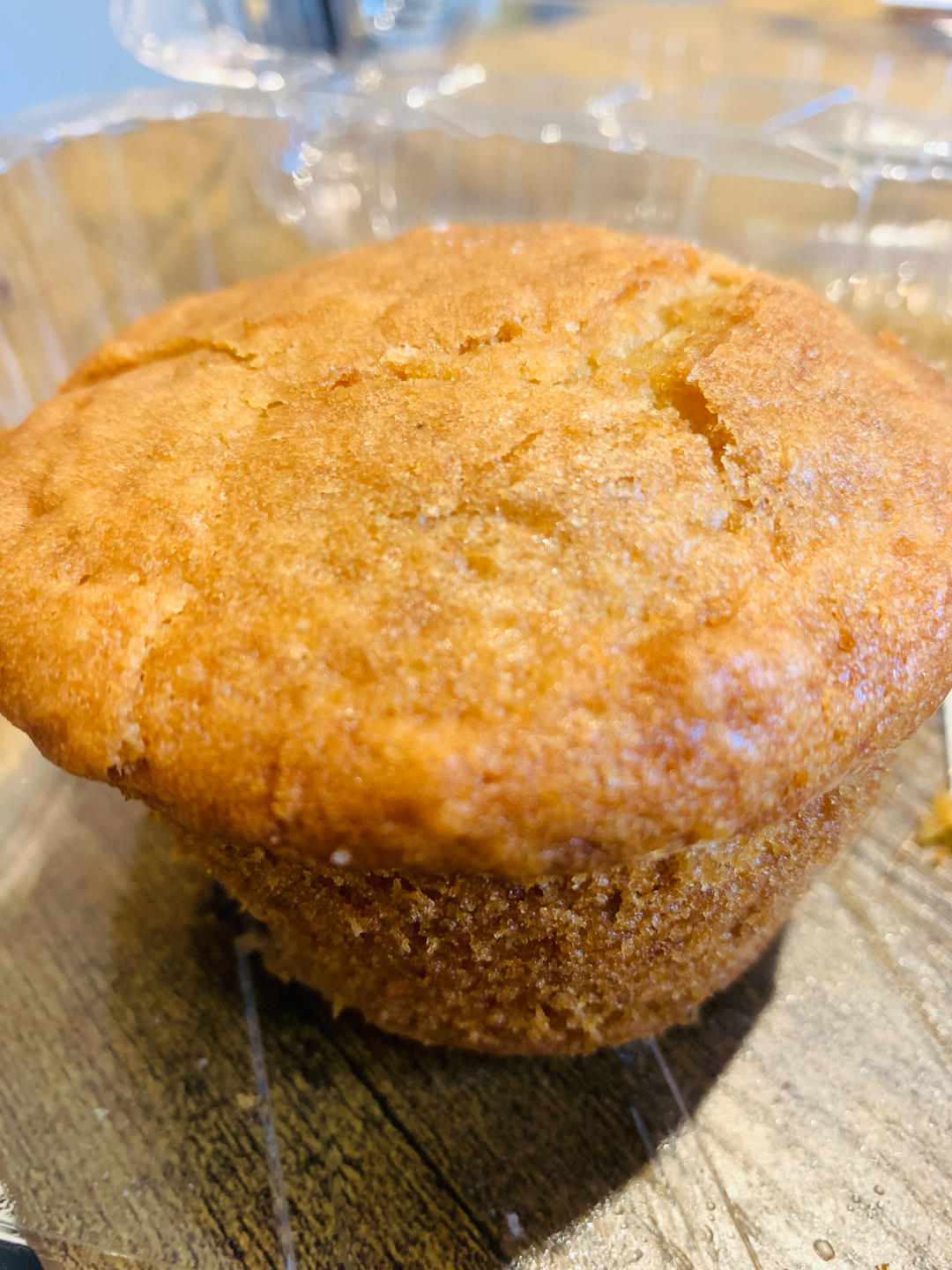 烘焙：马芬 蓝莓