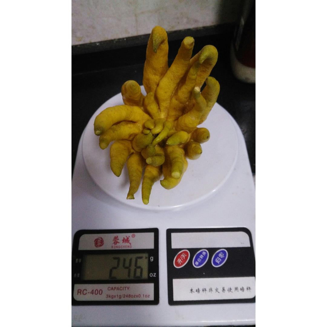 冰糖炖金佛手