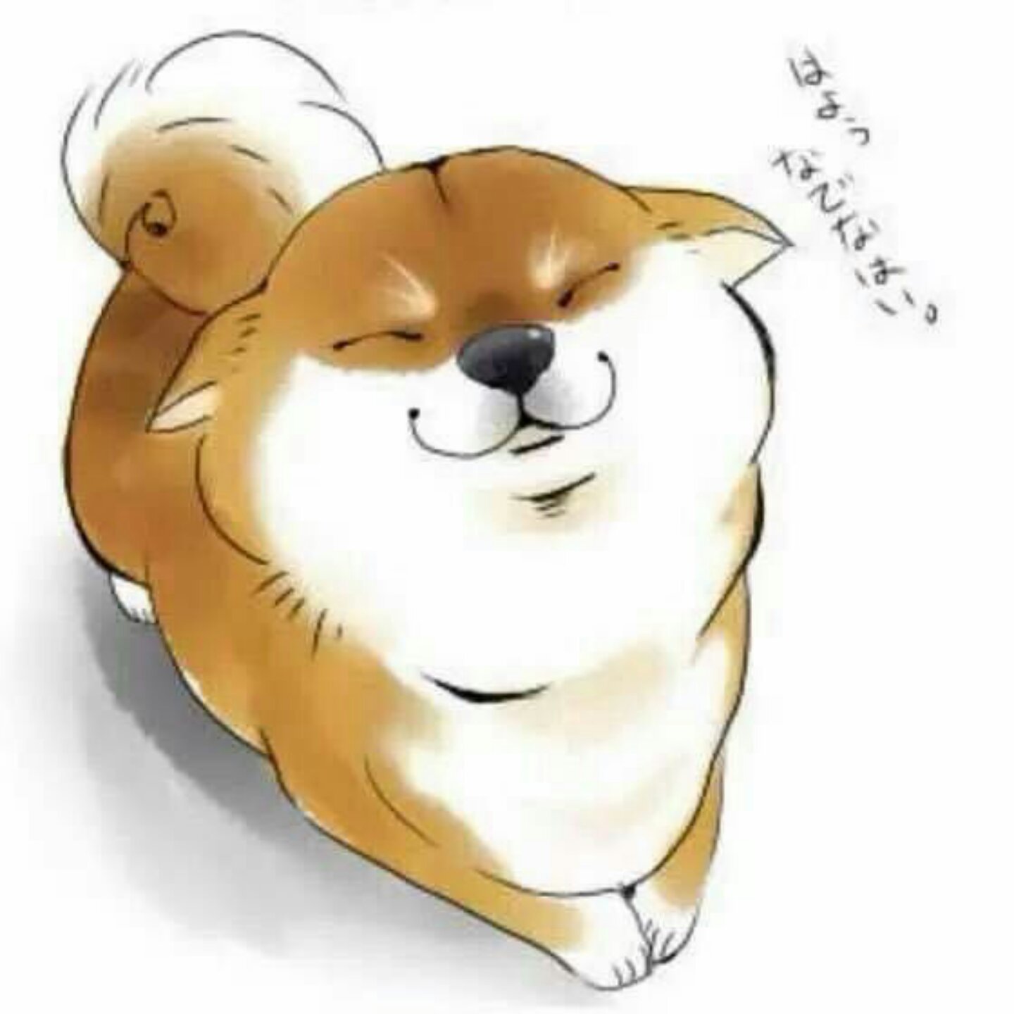 陈加加