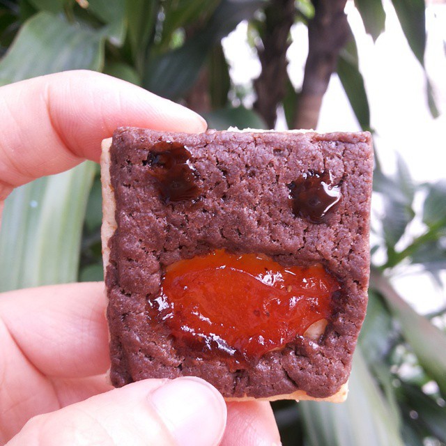 Domo-Kun Jam Cookies❤Domo-Kun果酱曲奇