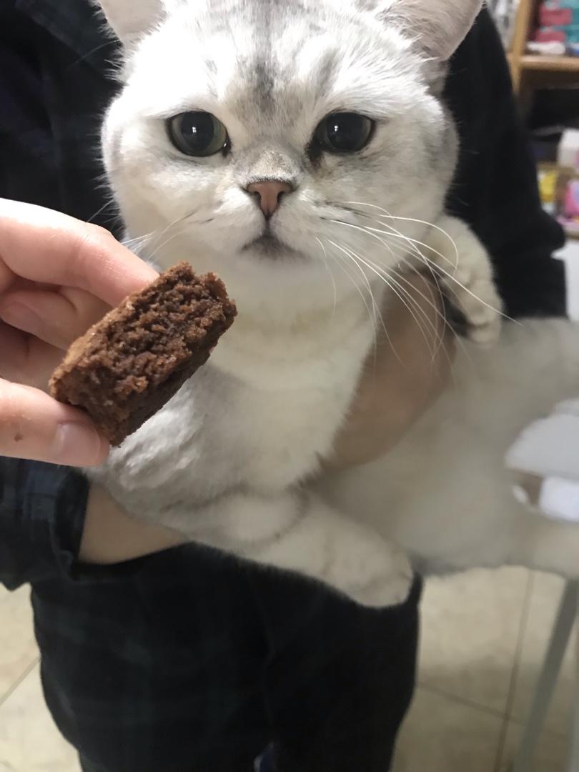 布朗尼