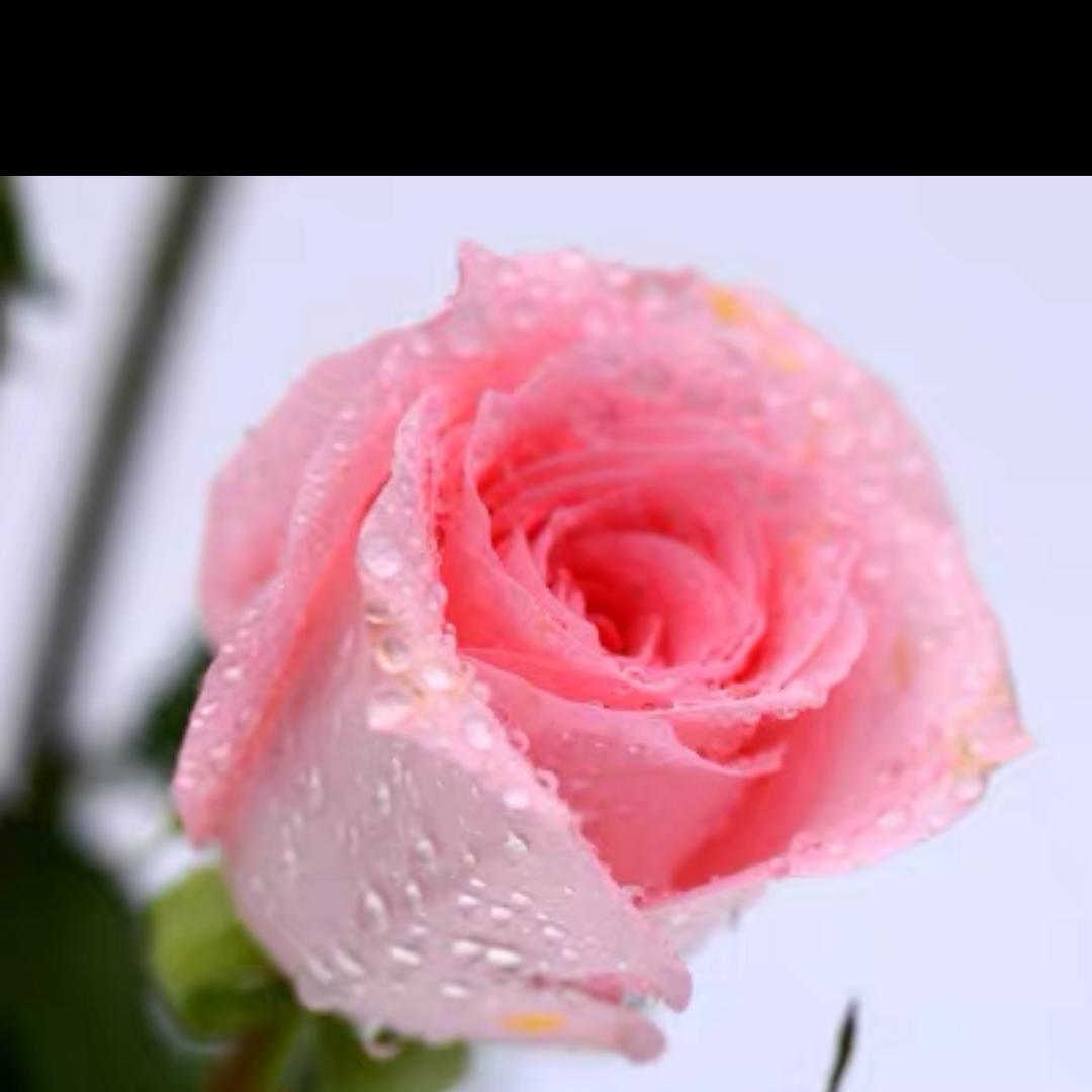 曦曦妈的深夜小食堂