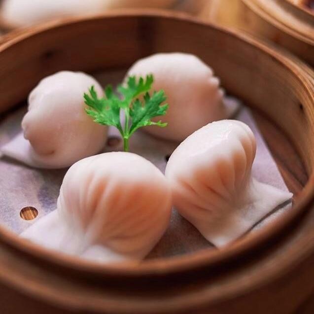 Miao星人