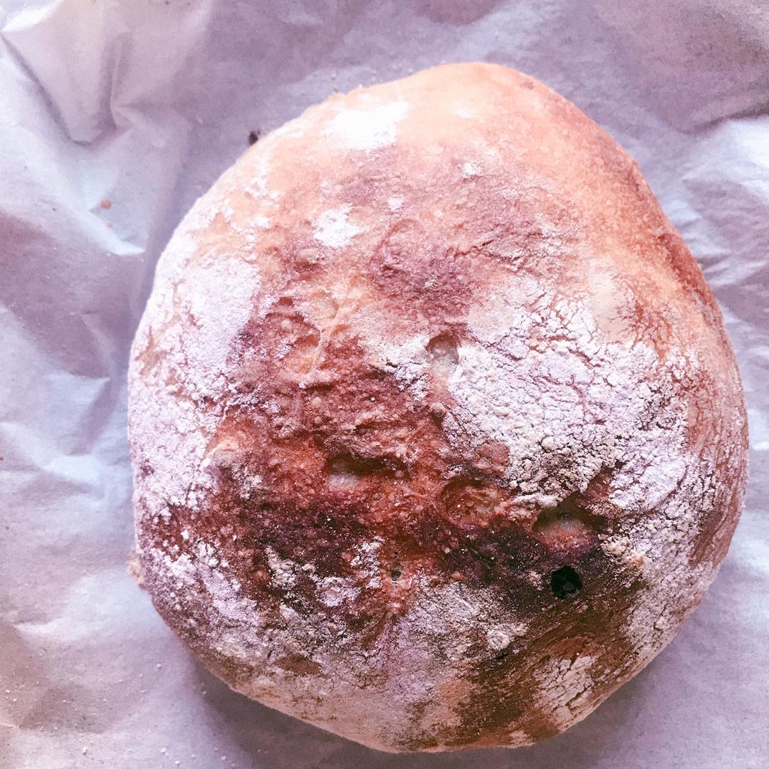 🍞免揉欧包新手入门指南（冷藏发酵、无油无糖）