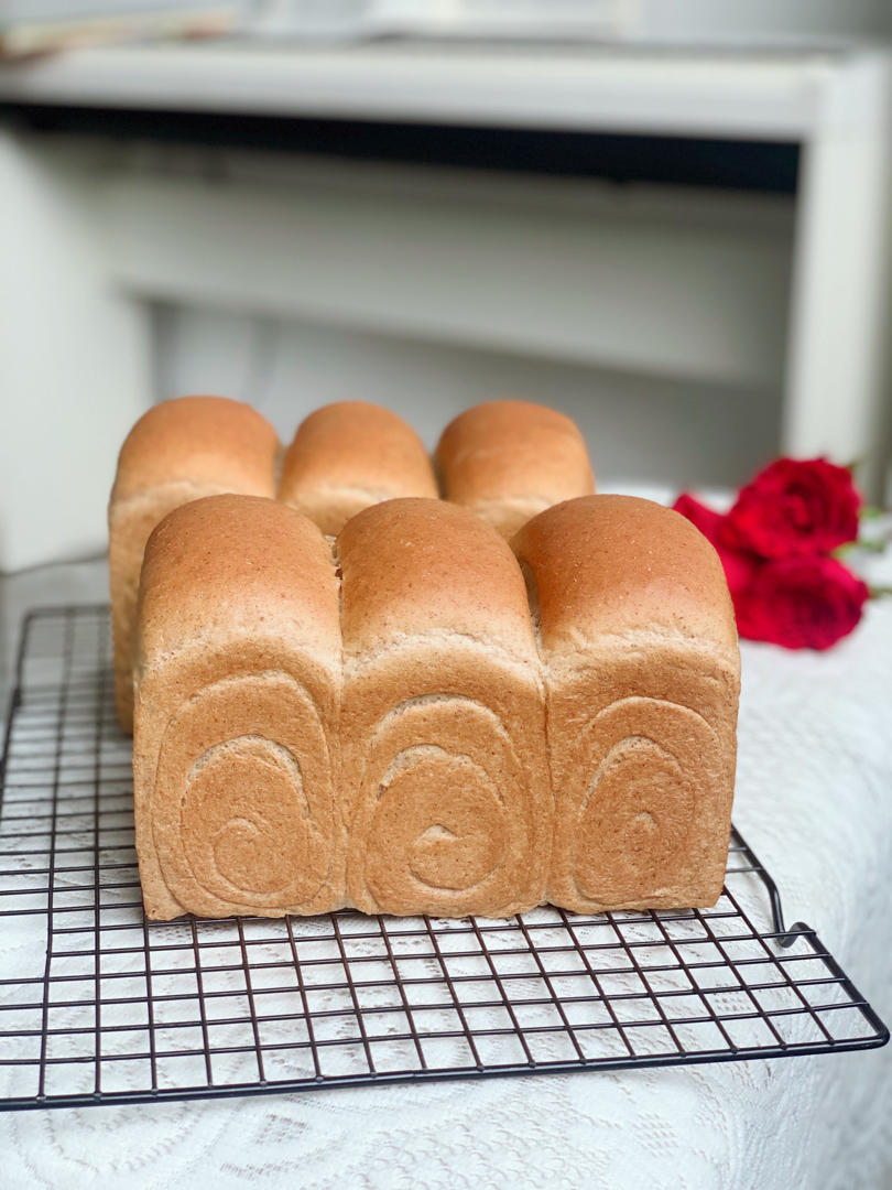 超柔软｜65度汤种｜全麦吐司｜目前为止吃过最好吃的全麦吐司没有之一