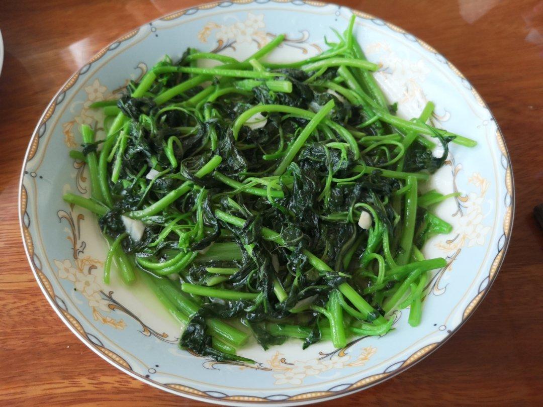 吃吃绿色的苋菜吧，营养价值更高😋