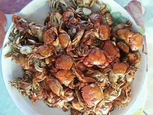 红烧香辣螃蟹的做法 步骤4