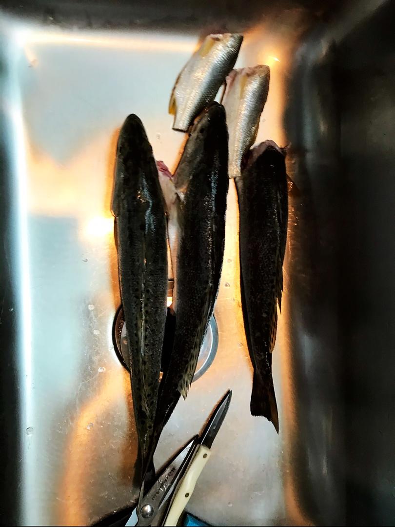 『红烧海鲈鱼』方便易上手的做法