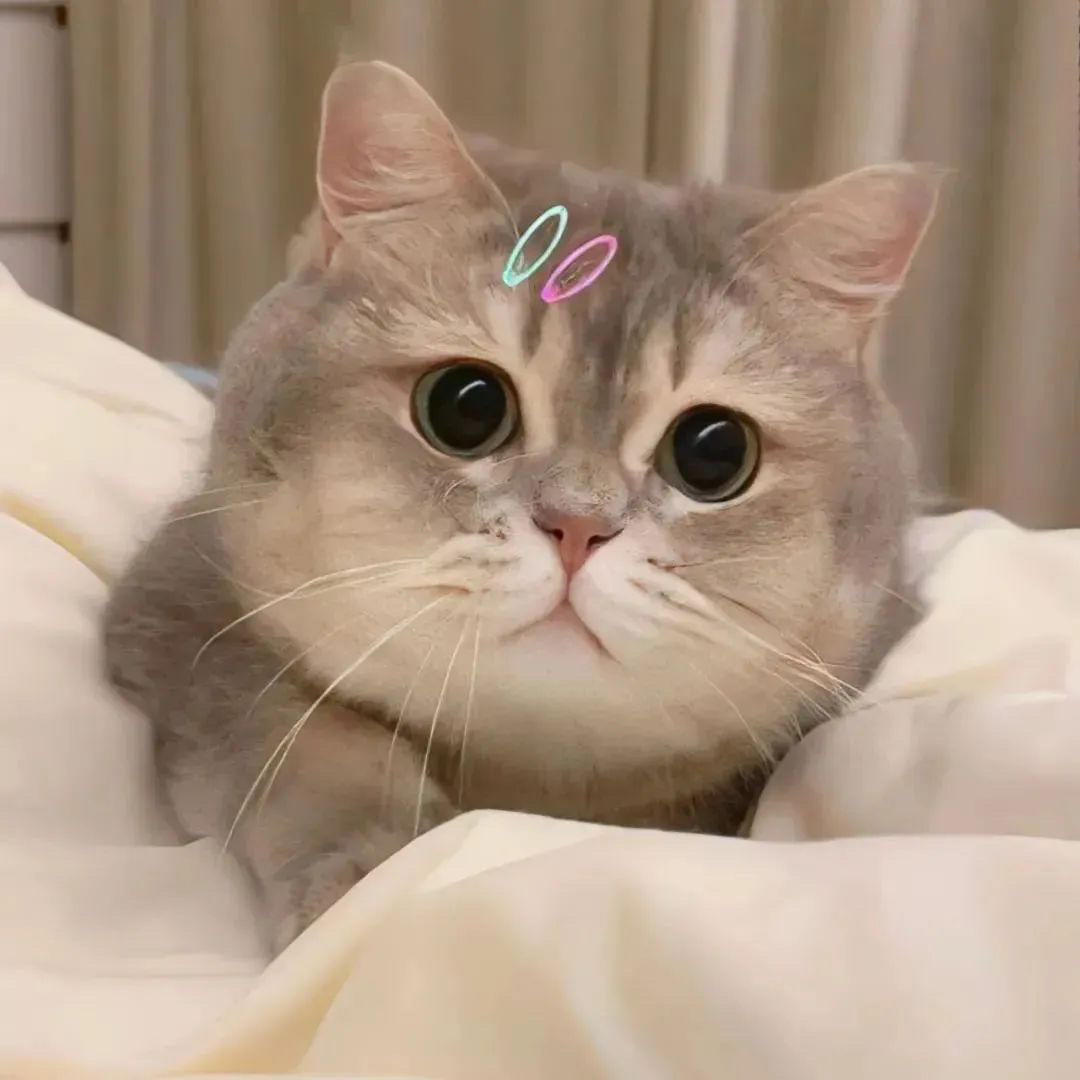 一杯小拿铁